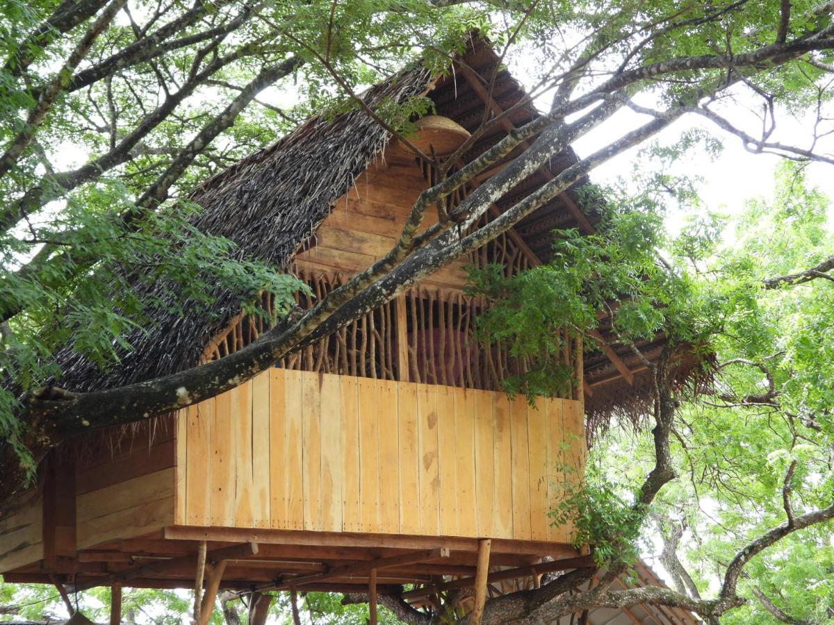 Yala Village Eco Tree House Tissamaharama Buitenkant foto