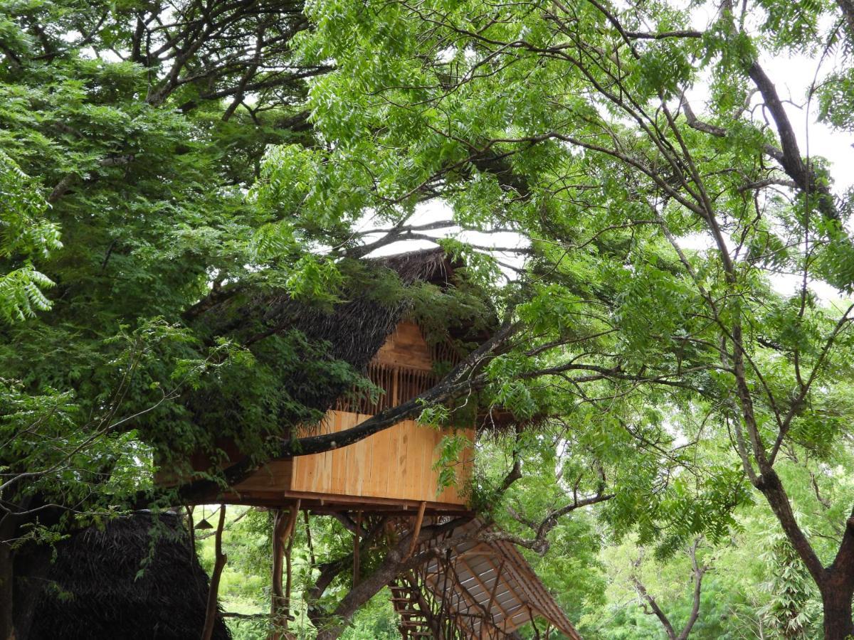 Yala Village Eco Tree House Tissamaharama Buitenkant foto