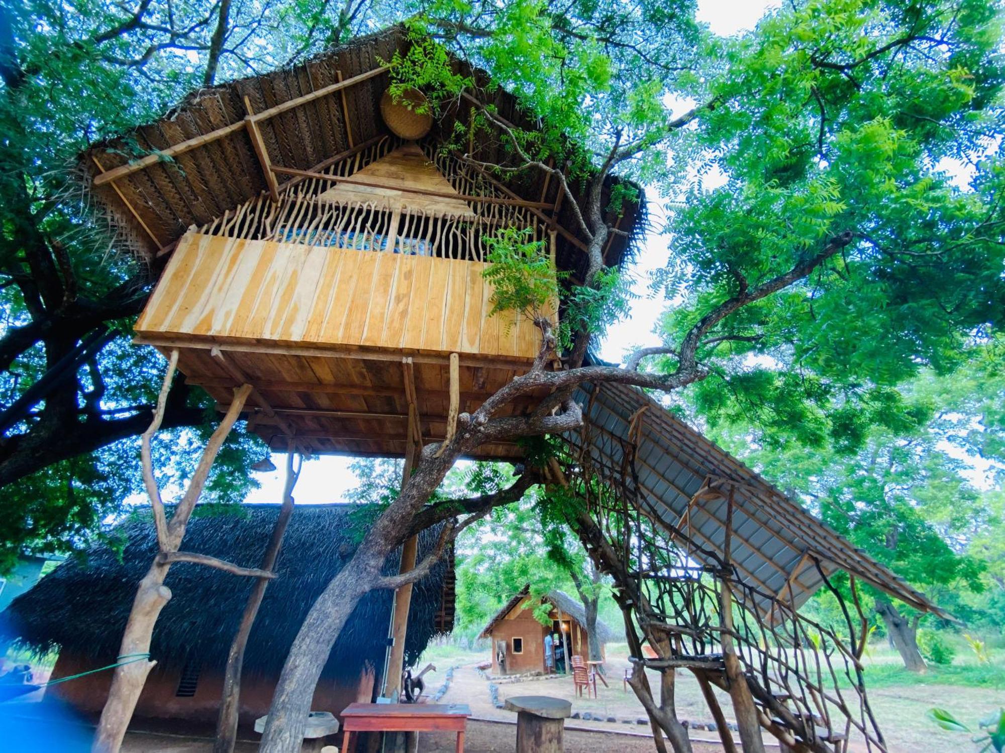 Yala Village Eco Tree House Tissamaharama Buitenkant foto