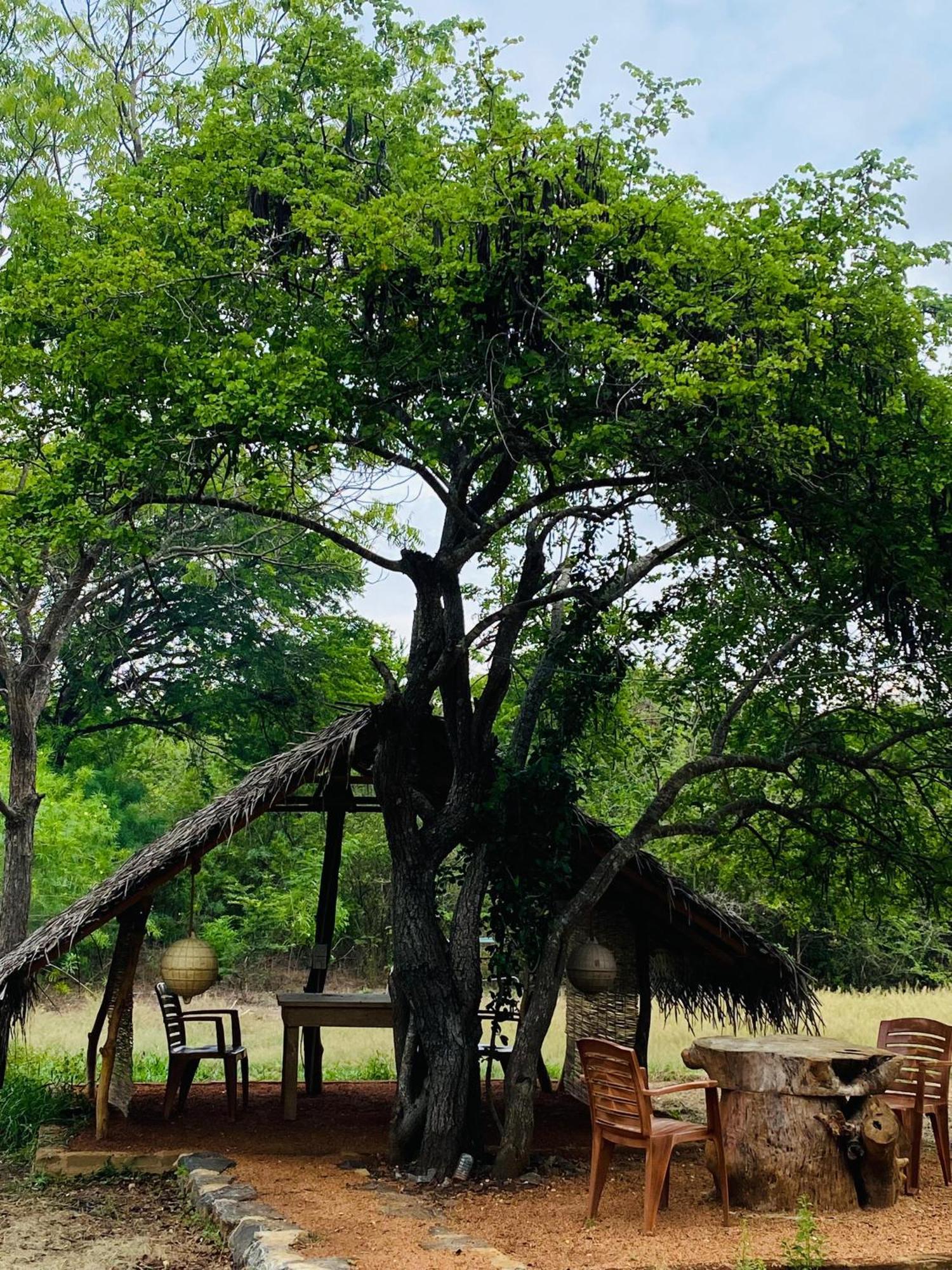 Yala Village Eco Tree House Tissamaharama Buitenkant foto